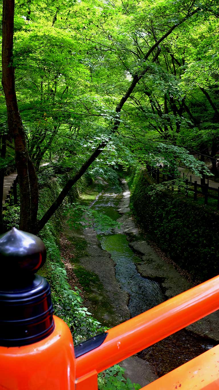 kitanotenjin-momiji-hashikara.jpg