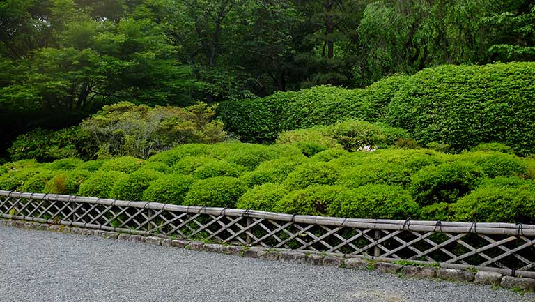 ryoanji-niwa-takegaki.jpg