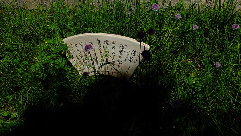 jounanguu-hana.jpg